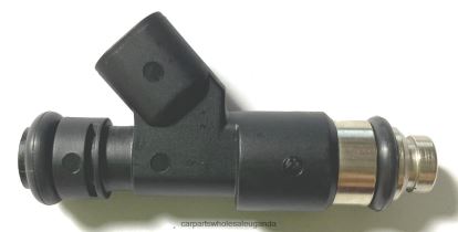 Auto Parts Wholesale Near Me - Fuel Injector 12594512 2172436 BH8X22113