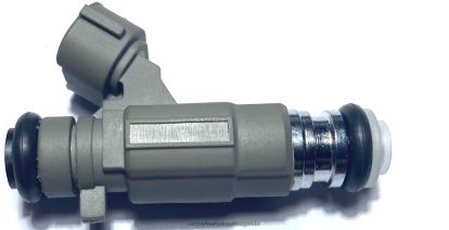 Auto Parts Wholesale Near Me - Fuel Injector 166005L700 BH8X21888