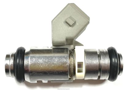 Auto Parts Wholesale Online - Fuel Injector IWP026 BH8X21791 RENAULT